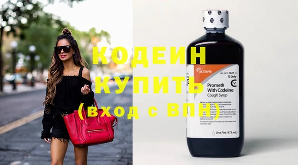 индика Краснослободск