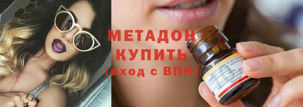 индика Краснослободск