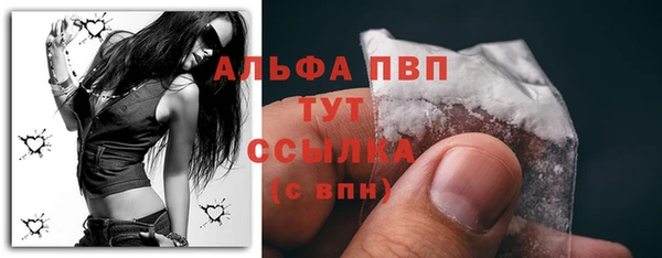 индика Краснослободск