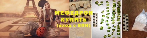 индика Краснослободск
