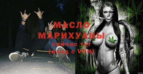 индика Краснослободск