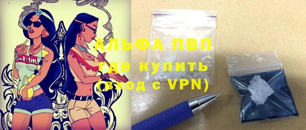 индика Краснослободск