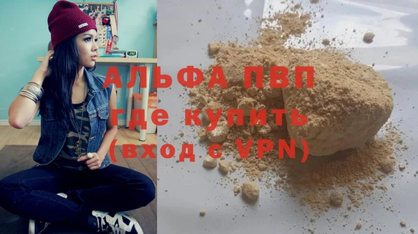 индика Краснослободск