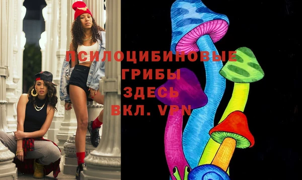 индика Краснослободск