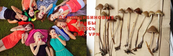 индика Краснослободск