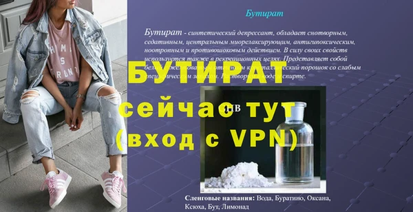 индика Краснослободск